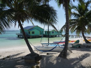 February 2: Right outside our cabana door.